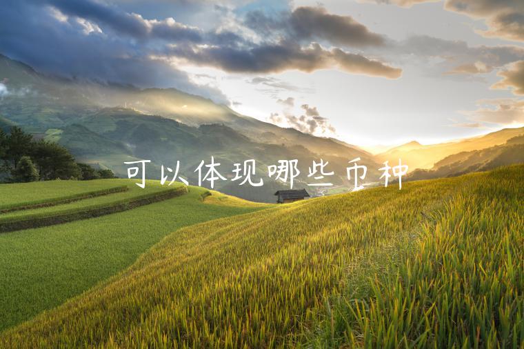 可以体现哪些币种-第1张图片-欧意下载