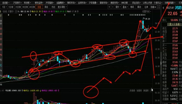 彩币钱包同步（怎样购买库神钱包）-第2张图片-欧意下载