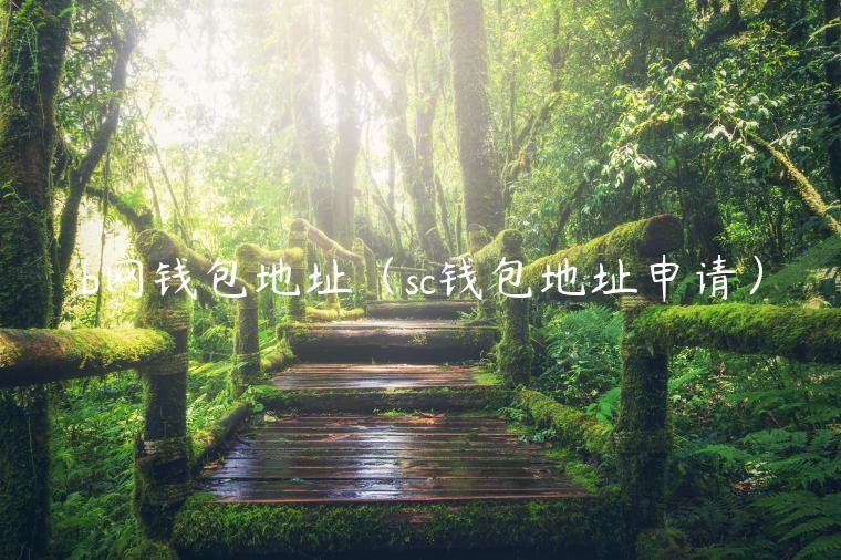 b网钱包地址（sc钱包地址申请）-第1张图片-欧意下载