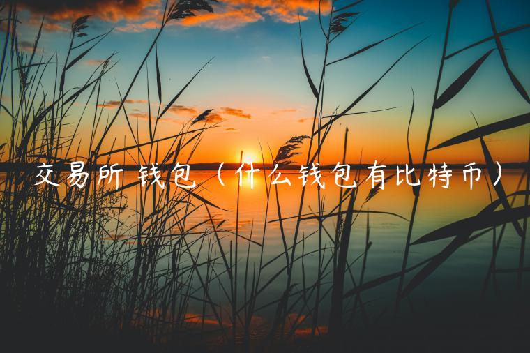交易所 钱包（什么钱包有比特币）-第1张图片-欧意下载