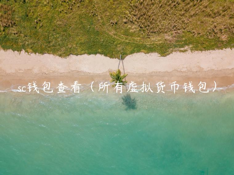 sc钱包查看（所有虚拟货币钱包）-第1张图片-欧意下载