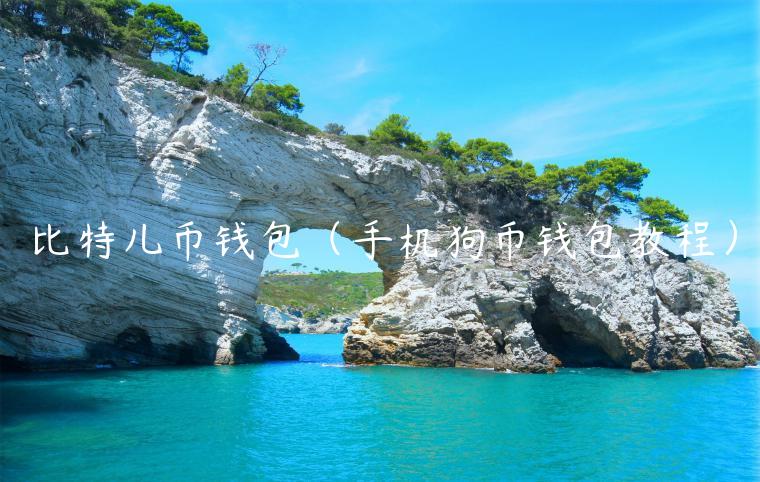 比特儿币钱包（手机狗币钱包教程）-第1张图片-欧意下载