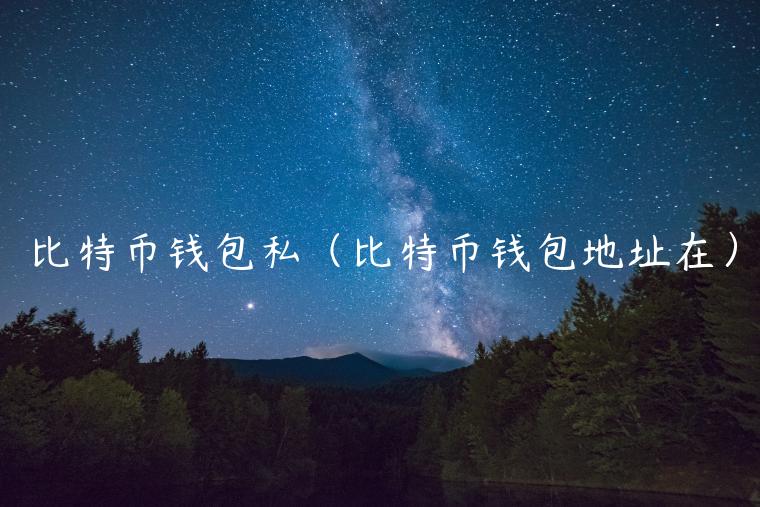 比特币钱包私（比特币钱包地址在）-第1张图片-欧意下载