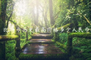 比特币历史最高价格多少人民币