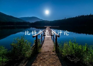 比特币最新评论