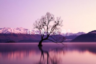 什么是元宝网？