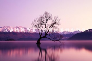 众合钱包节点（还可以莱特币钱包）