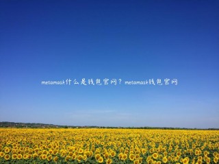 mtamask什么是钱包官网？mtamask钱包官网