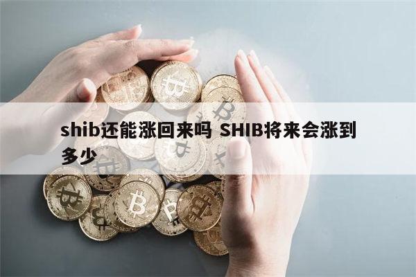 shib还能涨回来吗 屎币能涨到1元吗-第1张图片-欧意下载