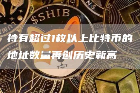 持有超过1枚以上比特币的地址数量再创历史新高-第1张图片-欧意下载