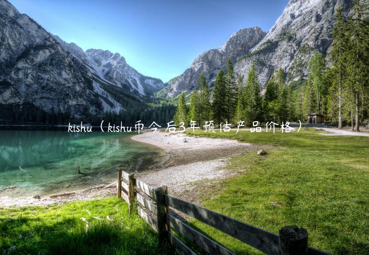 kishu（kishu币今后3年预估产品价格）-第1张图片-欧意下载