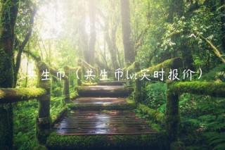 共生币（共生币lvt实时报价）