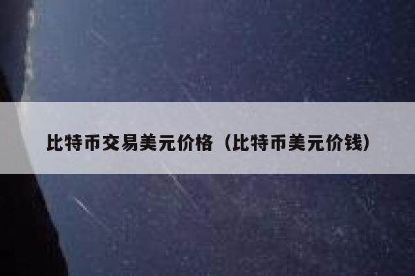 比特币交易美元价格（比特币美元价钱）-第1张图片-欧意下载