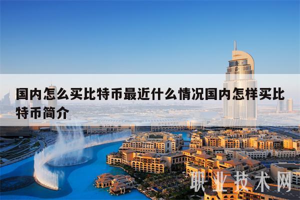 国内怎么买比特币最近什么情况国内怎样买比特币简介-第1张图片-欧意下载
