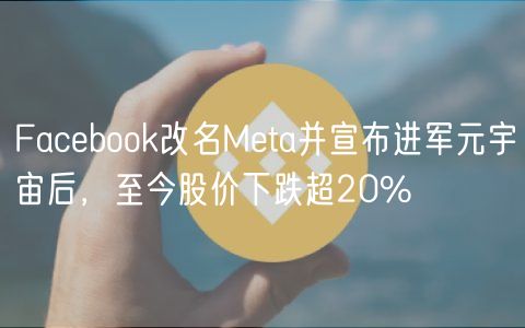 Facebook改名Meta并宣布进军元宇宙后，至今股价下跌超20%-第1张图片-欧意下载