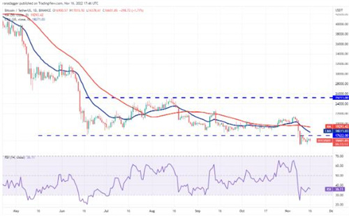 比特币今日最新价格 BTC最新行情分析资讯-第2张图片-欧意下载