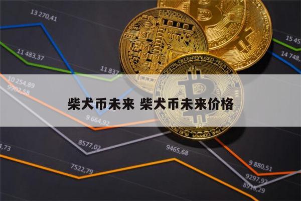 柴犬币未来 柴犬币未来价格 第1张