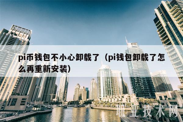 pi币钱包不小心卸载了（pi钱包卸载了怎么再重新安装）-第1张图片-欧意下载