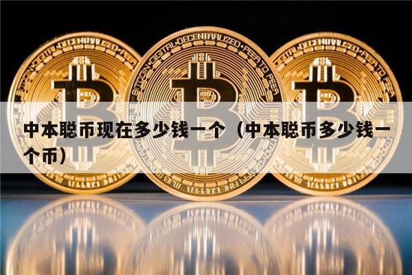 中本聪币现在多少钱一个（中本聪币多少钱一个币）-第1张图片-欧意下载
