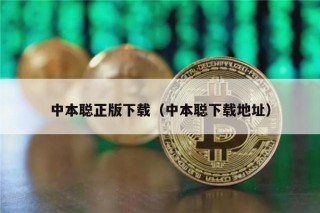 中本聪正版下载（中本聪下载地址）