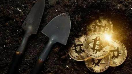 shib币今天价格(shib币今日的价格行情)-第1张图片-欧意下载