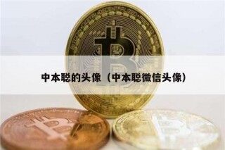中本聪的头像（中本聪微信头像）