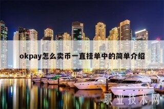 mcpay怎么卖币一直挂单中的简单介绍
