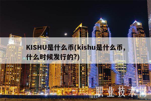 KISHU是什么币(kishu是什么币,什么时候发行的?)-第1张图片-欧意下载