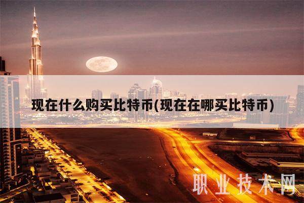 现在什么购买比特币(现在在哪买比特币)-第1张图片-欧意下载