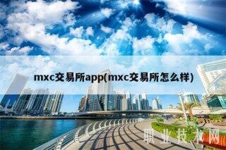 mc交易所app(mc交易所怎么样)