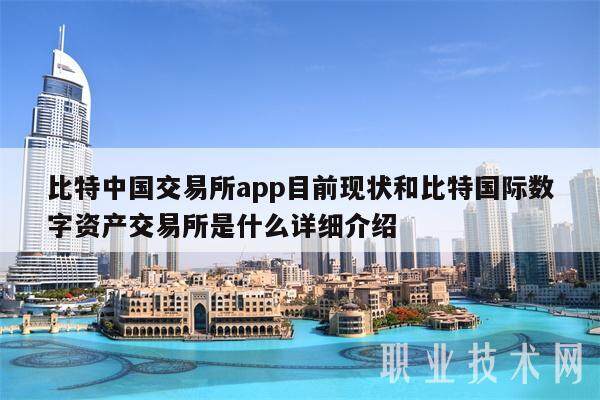 比特中国交易所app目前现状和比特国际数字资产交易所是什么详细介绍-第1张图片-欧意下载