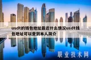 usdt的钱包地址最近什么情况usdt钱包地址可以查到本人简介