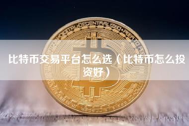 比特币交易平台怎么选（比特币怎么投资好）