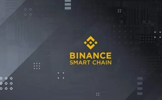 binance调查：近一半用户靠加密币获取收益