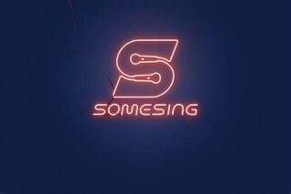SOMESING(SS)是什么币